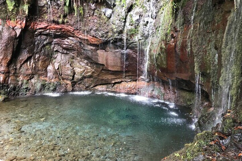 25 Fanal Forest Fountains and Porto Moniz Natural Pool