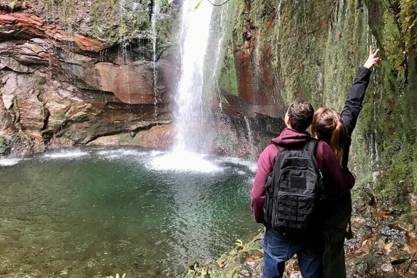 25 Fanal Forest Fountains and Porto Moniz Natural Pool