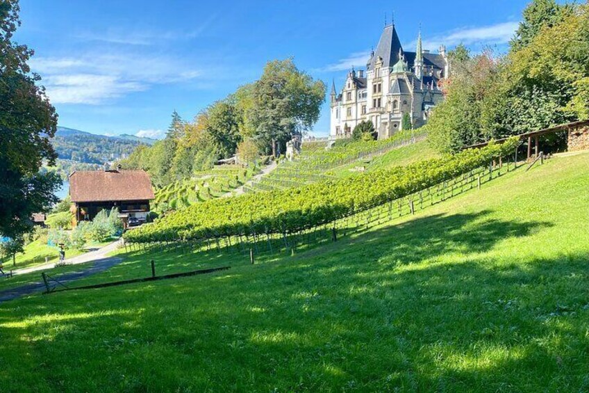 Private Tour to Authentic Lake in Lucerne 