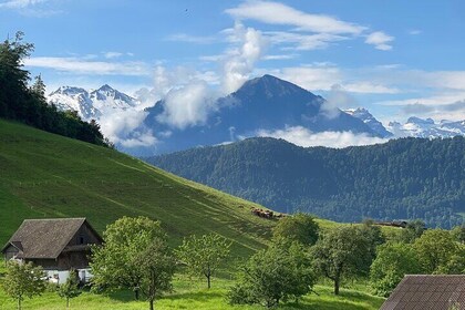 Private Tour to Authentic Lake in Lucerne