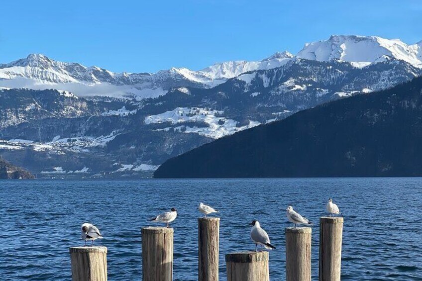 Private Tour to Authentic Lake in Lucerne 