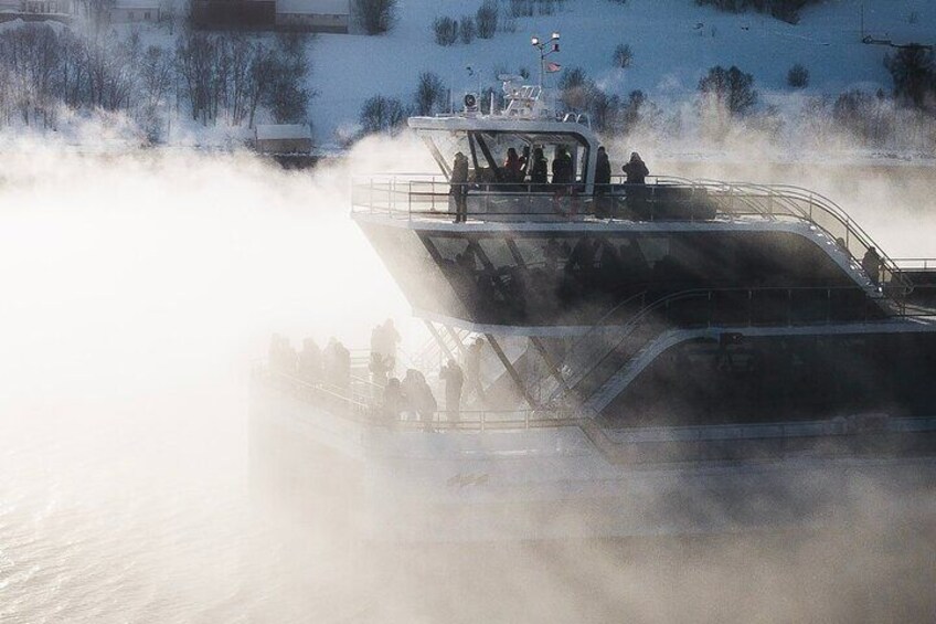 Half-Day Arctic Fjord Cruise from Tromsø