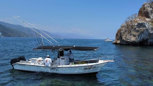 Puerto Vallarta: Private Ocean Adventure