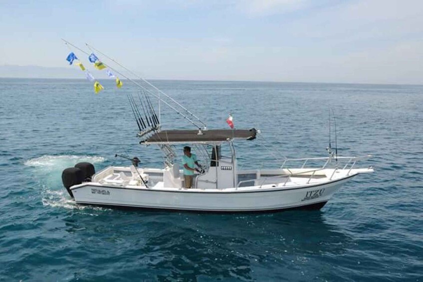 Picture 2 for Activity Puerto Vallarta: Private Ocean Adventure