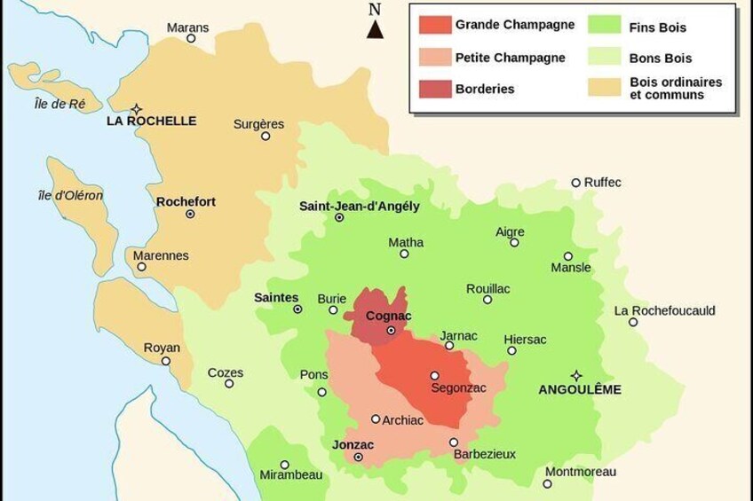 Private tour to Cognac - a delight for discerning gourmets