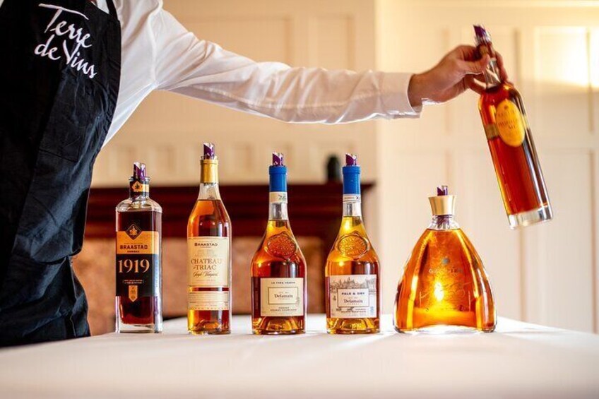 Private tour to Cognac - a delight for discerning gourmets