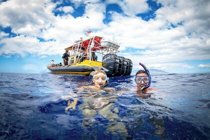 Aventura de snorkel por la tarde en Koa Kai