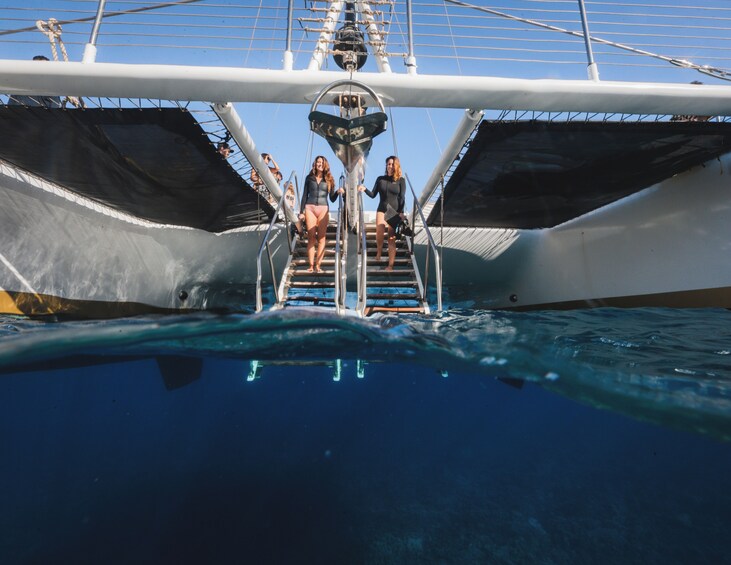 Alii Kai Turtles & Tacos Catamaran Snorkel Sail