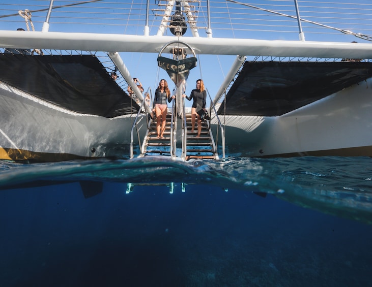 Alii Kai Turtles & Tacos Catamaran Snorkel Sail