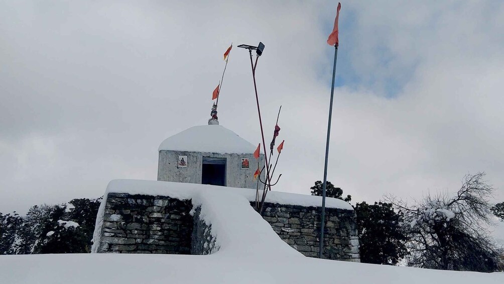 Picture 3 for Activity Guided Day Hike to Birni Devi Temple from Palampur