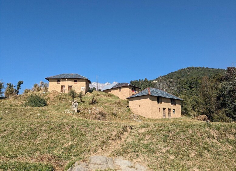 Picture 4 for Activity Guided Day Hike to Birni Devi Temple from Palampur