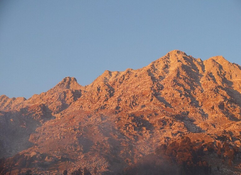 Picture 1 for Activity Guided Day Hike to Birni Devi Temple from Palampur