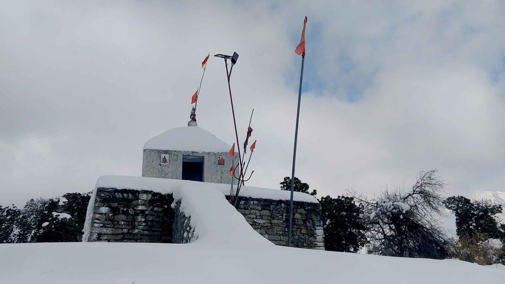 Picture 3 for Activity Guided Day Hike to Birni Devi Temple from Palampur