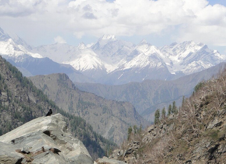 Picture 2 for Activity Guided Day Hike to Birni Devi Temple from Palampur