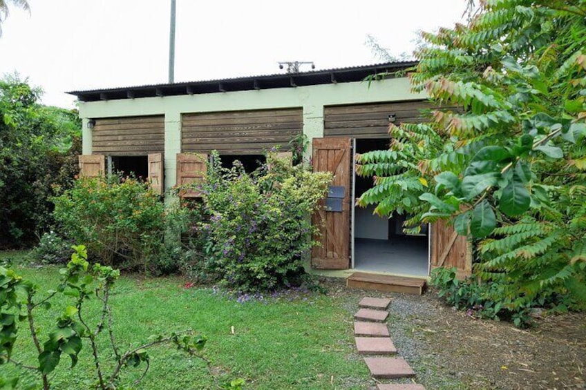 Private Pottery Experience at British Virgin Islands