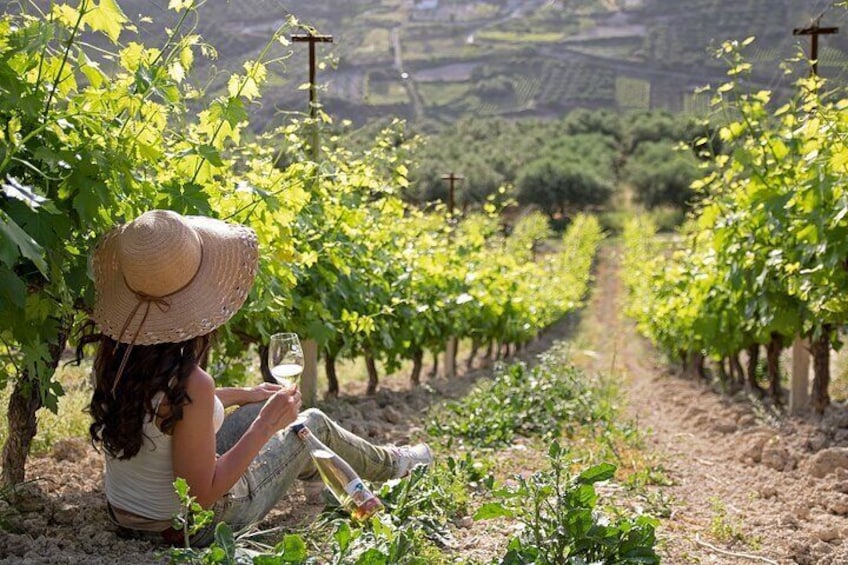 Wine tasting at Douloufakis vineyards.