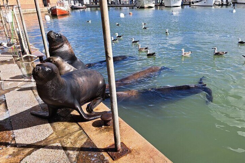 Private Tour in Punta del Este