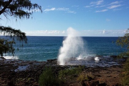 Kauai Shore Excursion - Waimea Canyon Adventure Tour - Nawiliwili