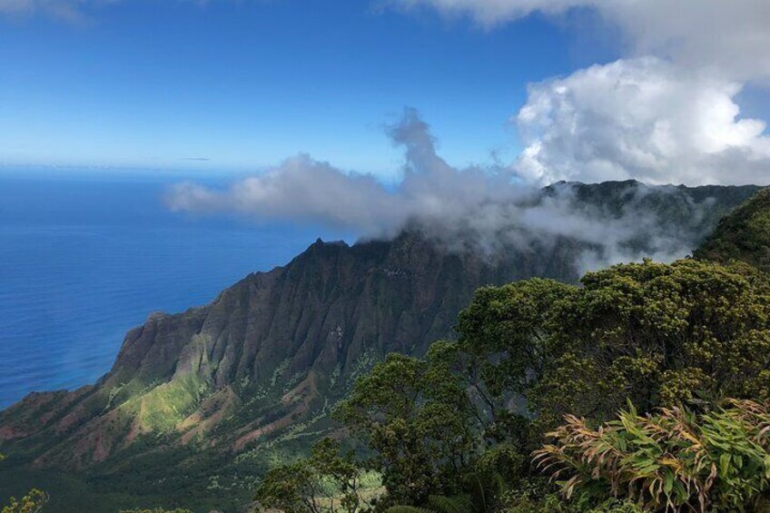 Kauai Shore Excursion - Waimea Canyon Adventure Tour - Nawiliwili