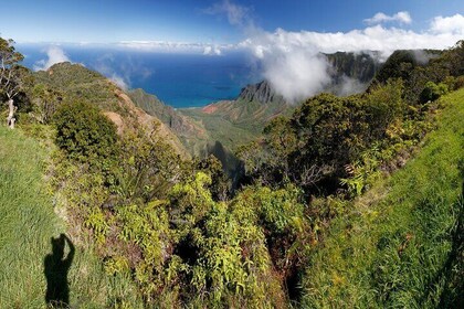 Kauai Shore Excursion - Waimea Canyon Adventure Tour - Nawiliwili