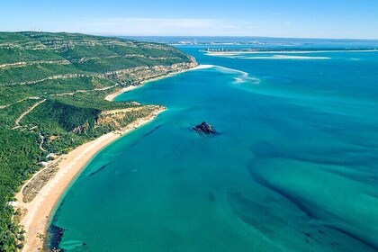 Full Day Shared Guided Tour in Setúbal