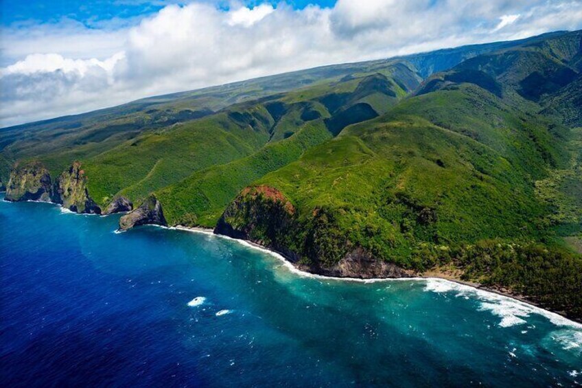 Hamakua Coast & Valleys Safari