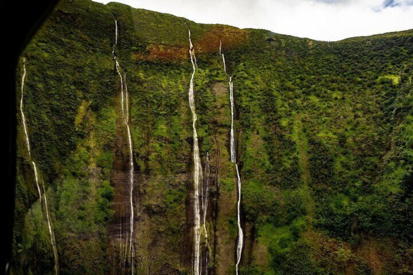 Hamakua Coast & Valleys Safari