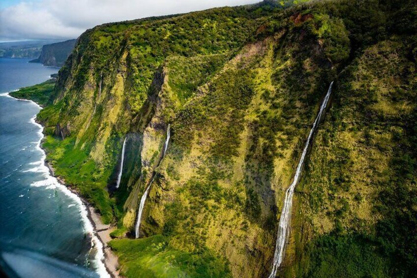 Hamakua Coast & Valleys Safari