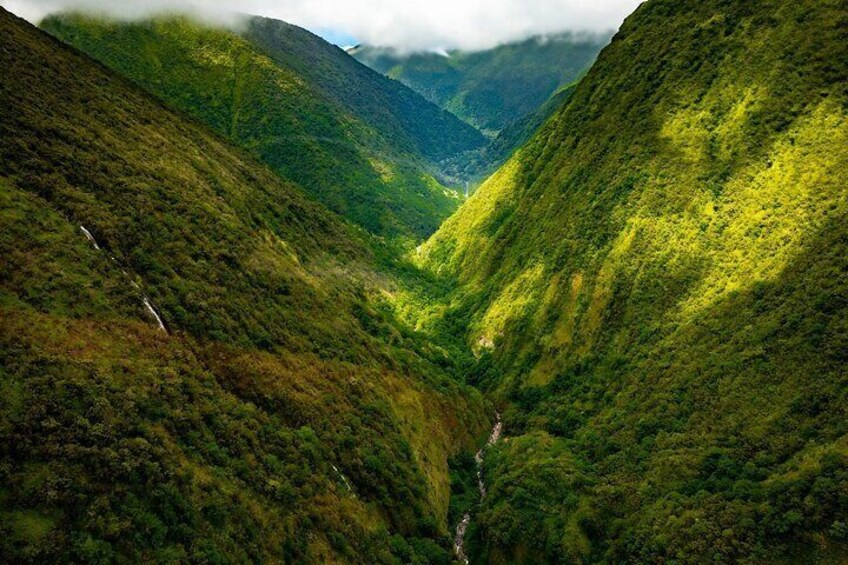 Hamakua Coast & Valleys Safari