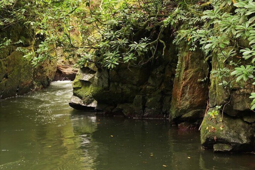 Mtirala National Park- Ajara Georgia. Batumi