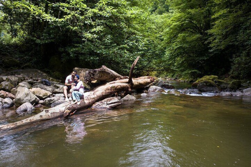 Hiking in Batumi ( Mtirala National Park)