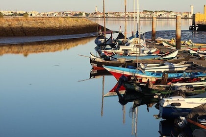 Private tour to discover the Ria de Aveiro!