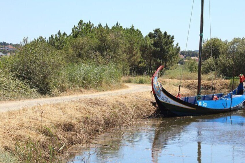 Private tour to discover the Ria de Aveiro!