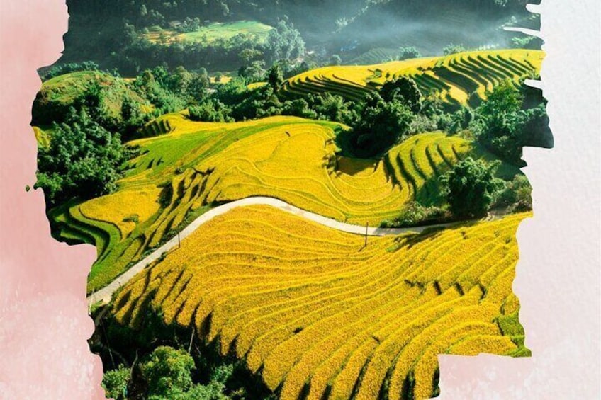 Combo bus sapa and homestay trekking