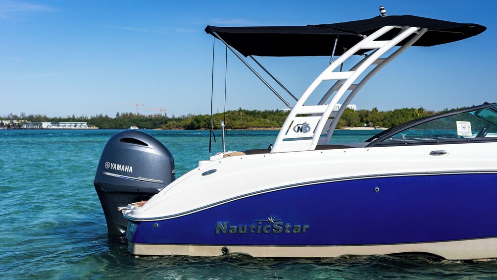 Private Tailored Sightseeing Miami Boat Tour & Fun Your Way