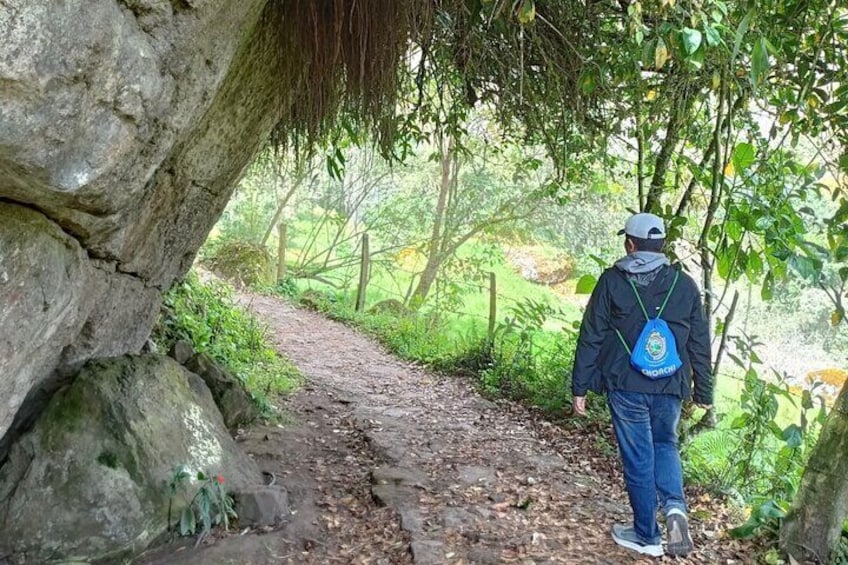 Private tour to La Chorrera Waterfall from Bogotá