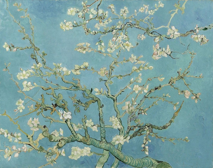 Cherry blossom branches and flowers by Van Gogh