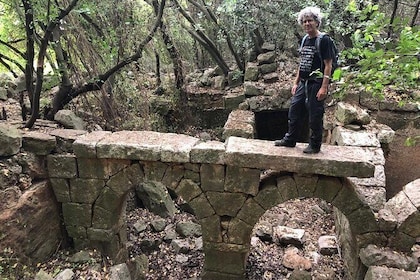 Lost cities of the Galilee, a forest walk adventure