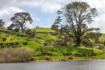 Hobbitonfilmset Dagtour met kleine groep vanuit Auckland