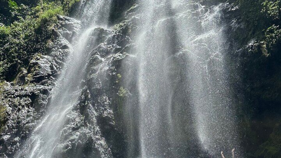 Chasing Waterfalls in Puerto Rico w Breakfast and Transport