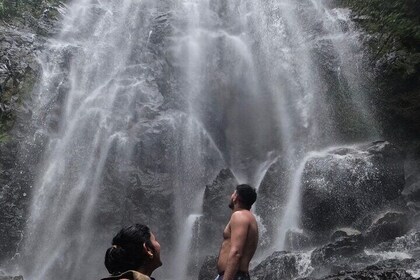 Chase Waterfalls - Discover a hidden 180ft rainforest gem