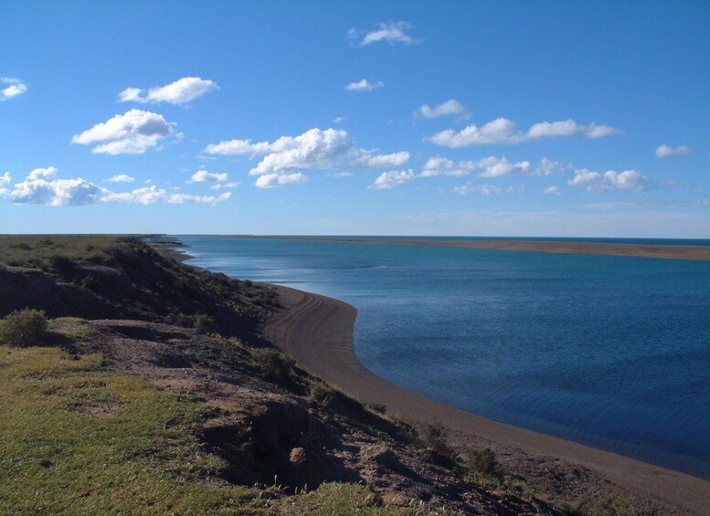 Picture 9 for Activity From Puerto Madryn: Full-Day Valdes Peninsula Tour