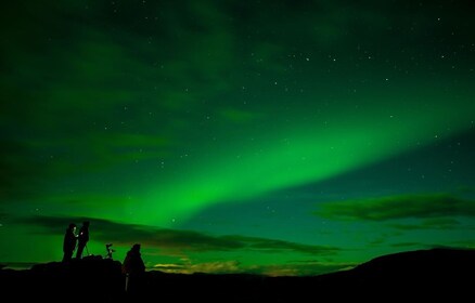 From Tromsø: Northern Lights Chase with Local Guide