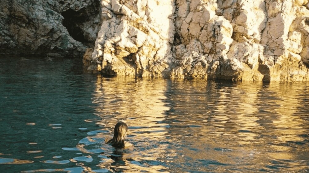 Picture 3 for Activity Plavnik Island: A public half day boat tour
