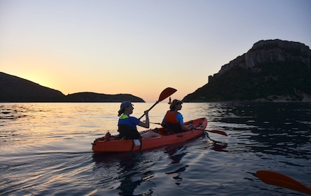 Golfo Aranci: Sunrise Dolphin Kayak Tour with Breakfast