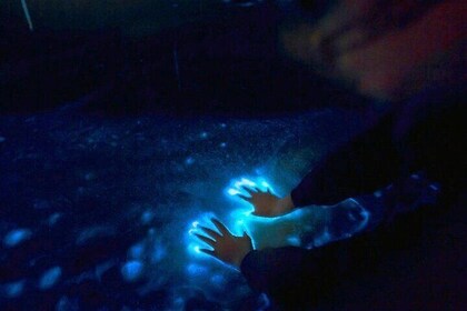 Private Sunset and Bioluminescence Tours in Cocoa Beach