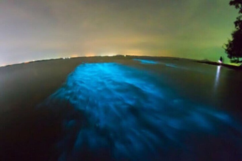 Private Bioluminescence Tours in Cocoa Beach