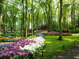 Biglietti "salta la fila" per il parco Keukenhof