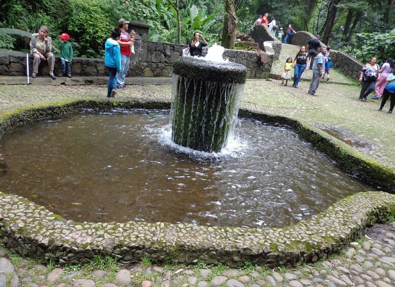 Picture 7 for Activity Paricutin Volcano Tour