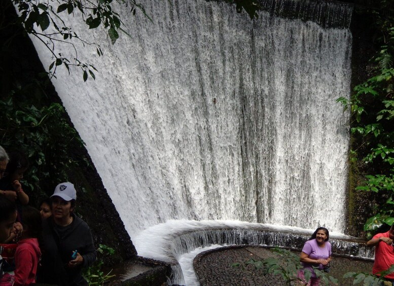 Picture 8 for Activity Paricutin Volcano Tour